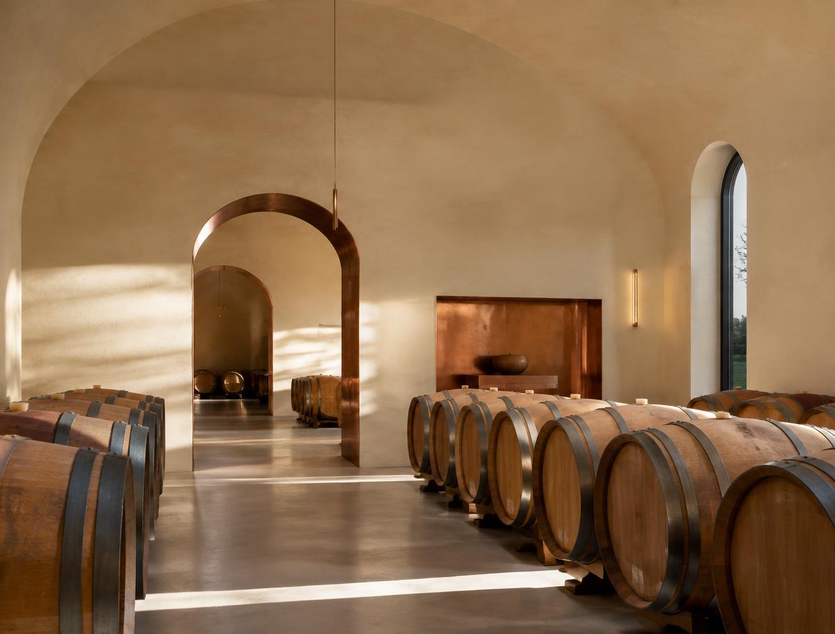 Spazio di cantina contemporaneo e dimostrativo